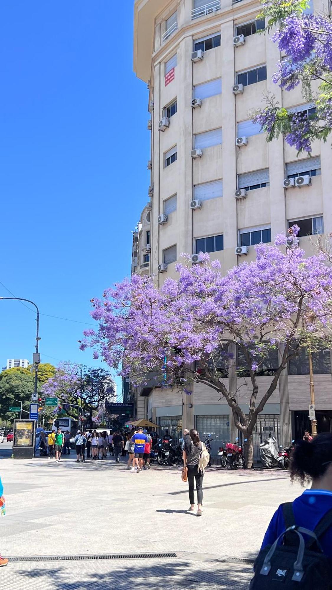 Loft Obelisco Daire Buenos Aires Dış mekan fotoğraf